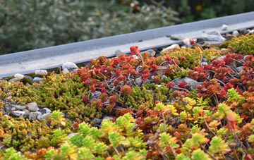 the cost of Bache green roof installation