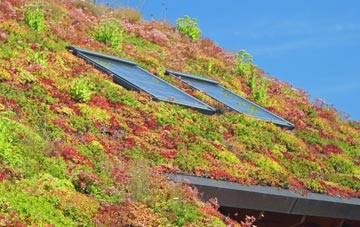Bache living roof systems