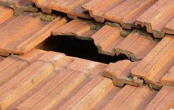 roof repair Bache, Shropshire
